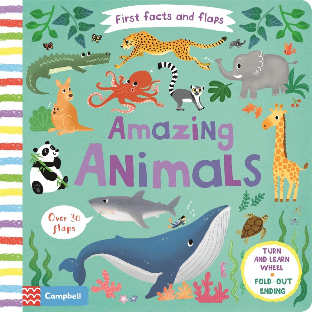Amazing Animals - First Facts and Flaps
