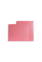 Extra Shelves (PRE-ORDER)