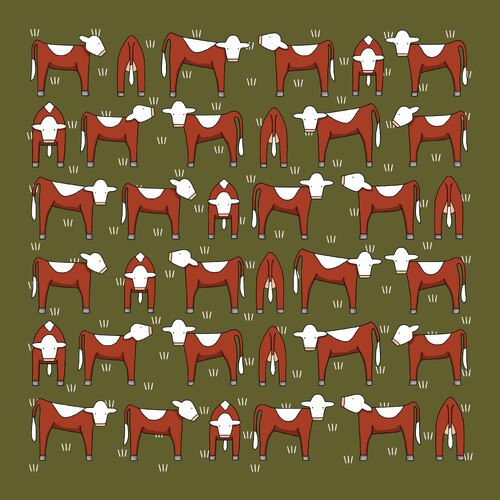 Hanky Herefords