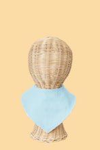 Dribble Bib (various)