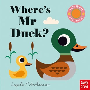 Where's Mr Duck
