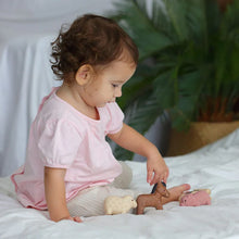 Farm Animal Play Set