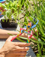 Follow the Sun Garden Set