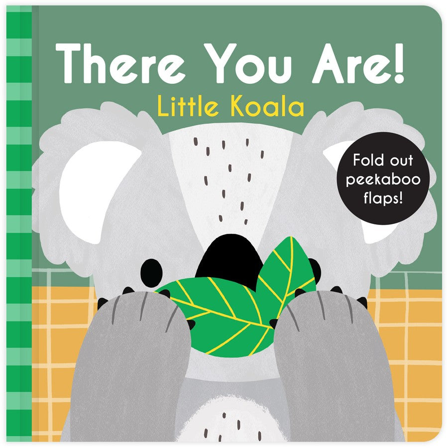 There You Are! Little Koala