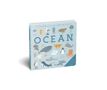 Ocean
