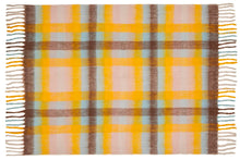 Picnic Bumble Blanket