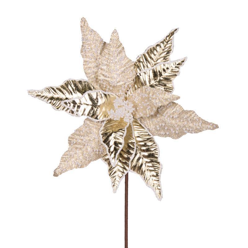 Champagne Pearl Poinsettia