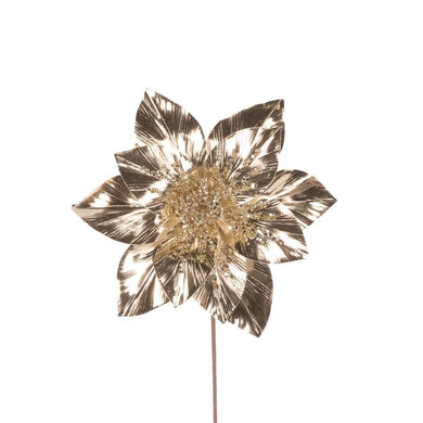 Beaded Champagne Poinsettia