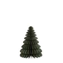Sage Paper Tree - Large