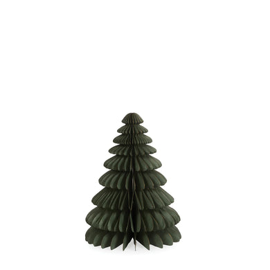 Sage Paper Tree - Large