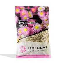 Everlastings - Daisy Seeds