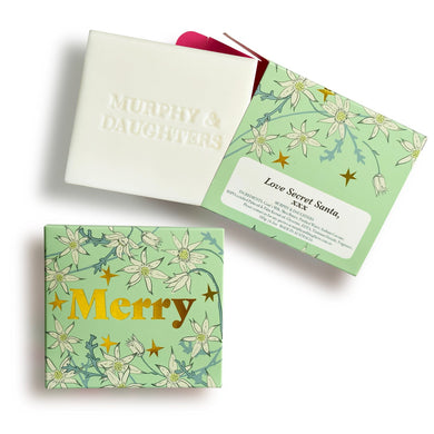 Message on a Soap - MERRY