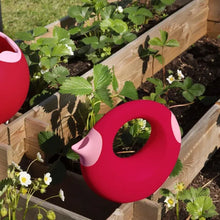 Quut Cana Watering Can (various)