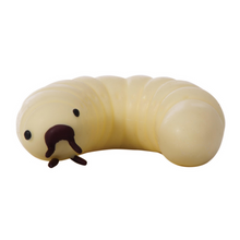 Aussie Animals- Grub in a Tub