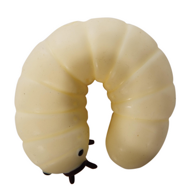 Aussie Animals- Grub in a Tub