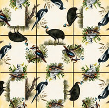 Squzzle Puzzle Australian Birds