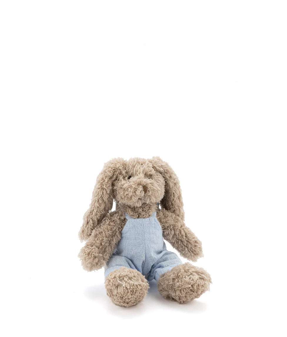 Baby Honey Bunny - Baby Blue
