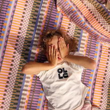 Picnic Mat Carnival Stripe