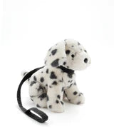 Debbie the Dalmation