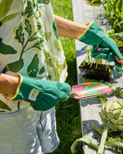 Veggie Soup Garden Tools Set