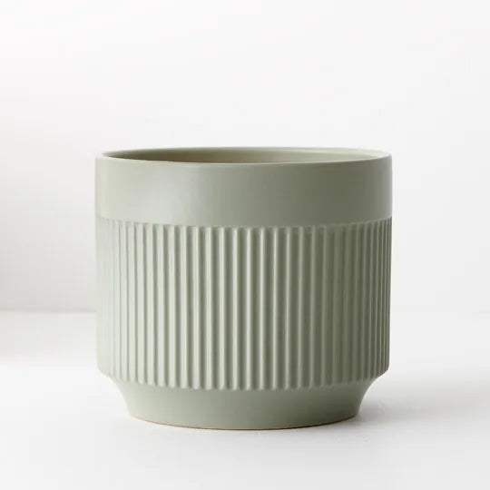 Dilu Pot Sage