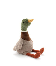 Hugo the Mallard Duck