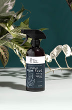 Indoor Plant Spray- Foliar Spray