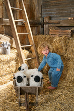 Valentina the Valais Sheep