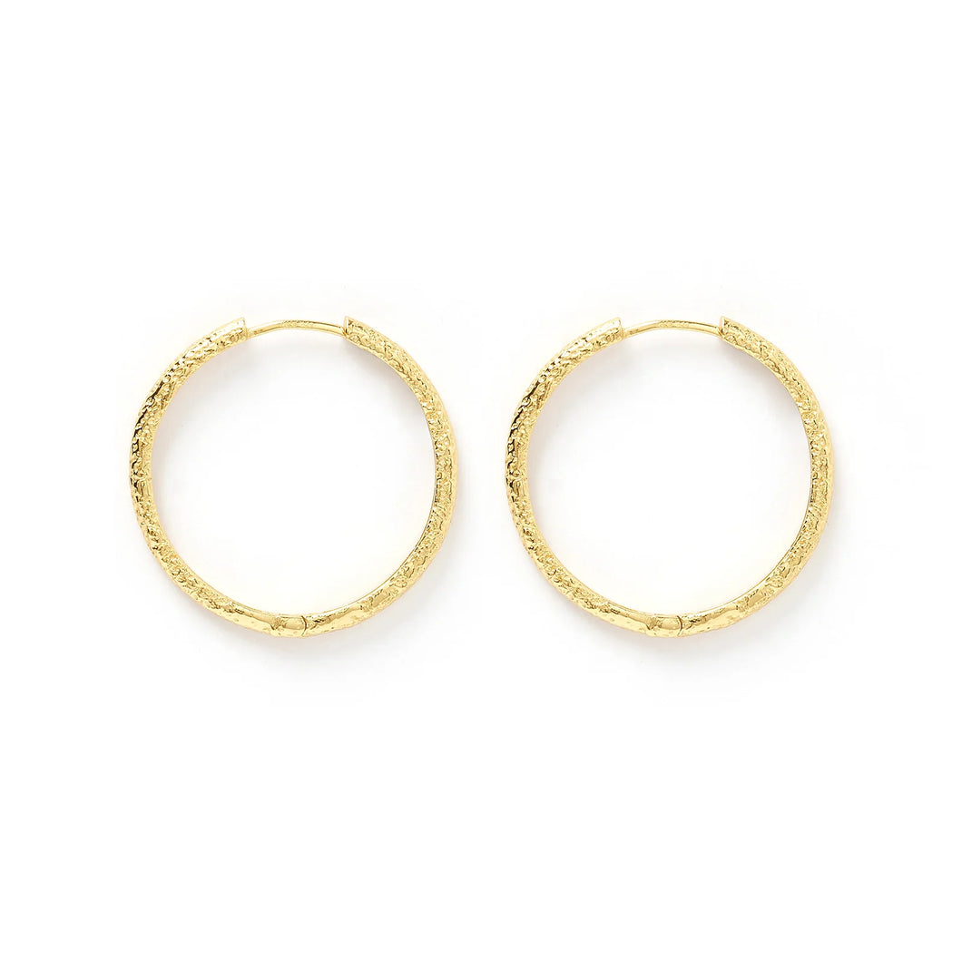 Sebastian Gold Hoop Earrings