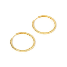 Sebastian Gold Hoop Earrings