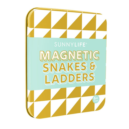 Magnetic Snake & Ladders